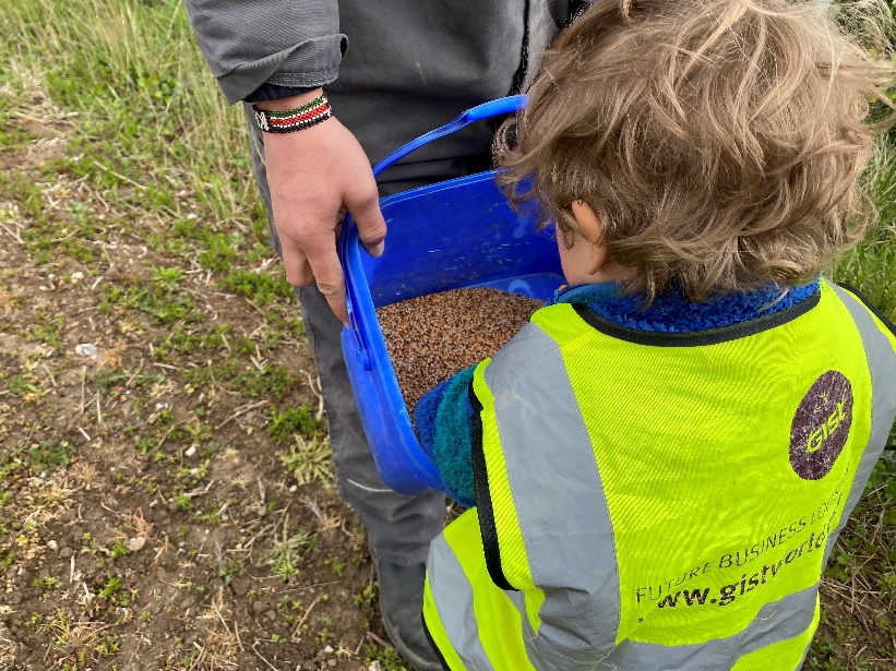 Child_learning_about_and_then_feeding_the_turtle_doves_their_seed