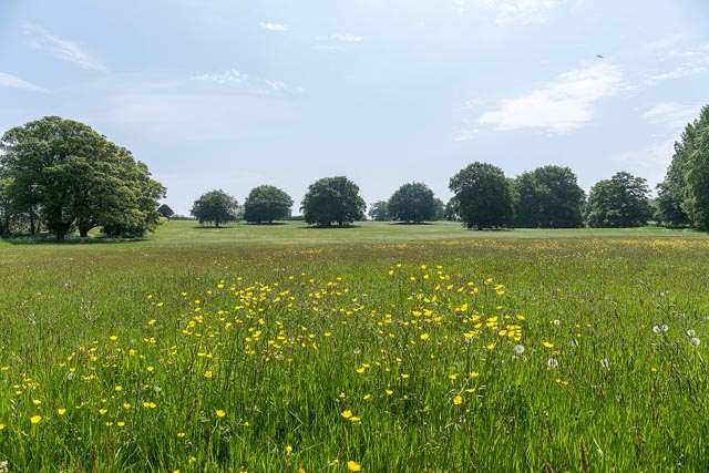 DenneHill_329
