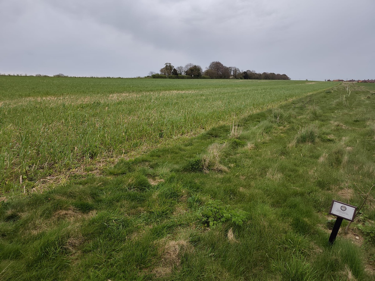 The-site-of-our-new-ADOPT-trial-can-you-guess-the-future-crop