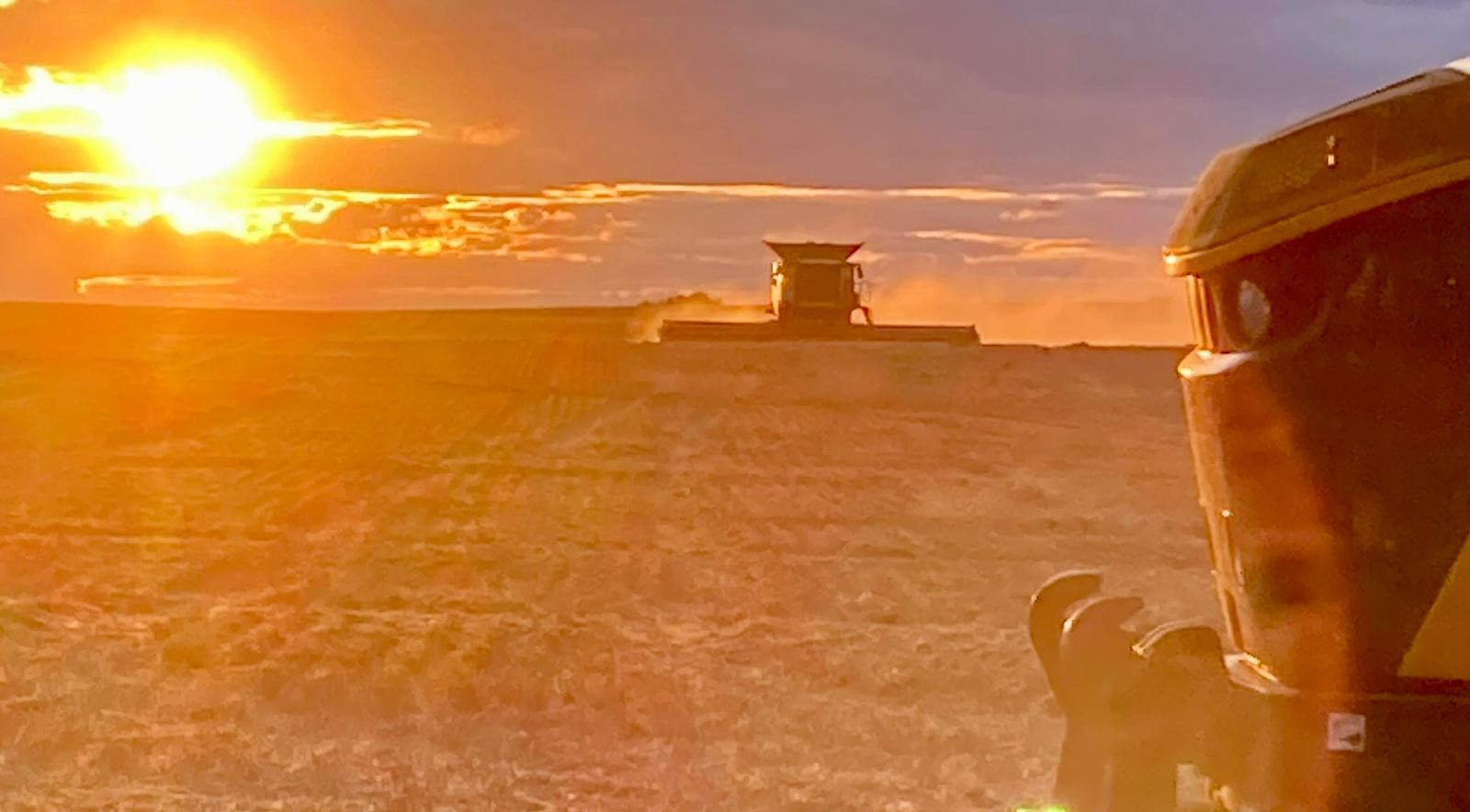 combine_and_tractor_sunset