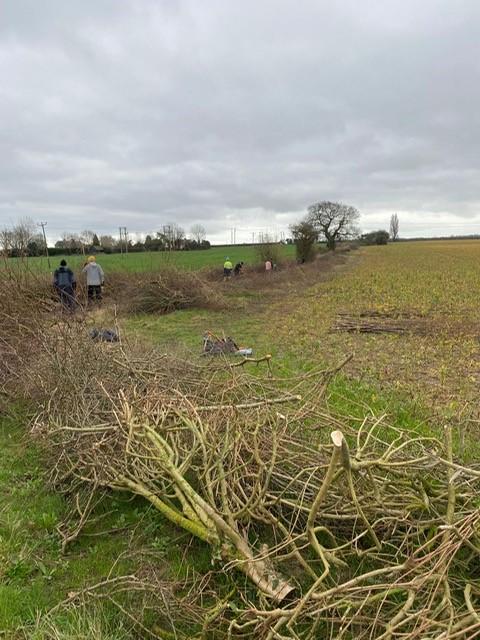 hedge_laying_course
