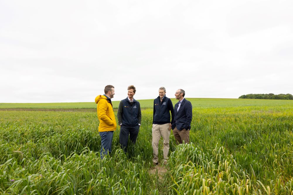 regen-agriculture