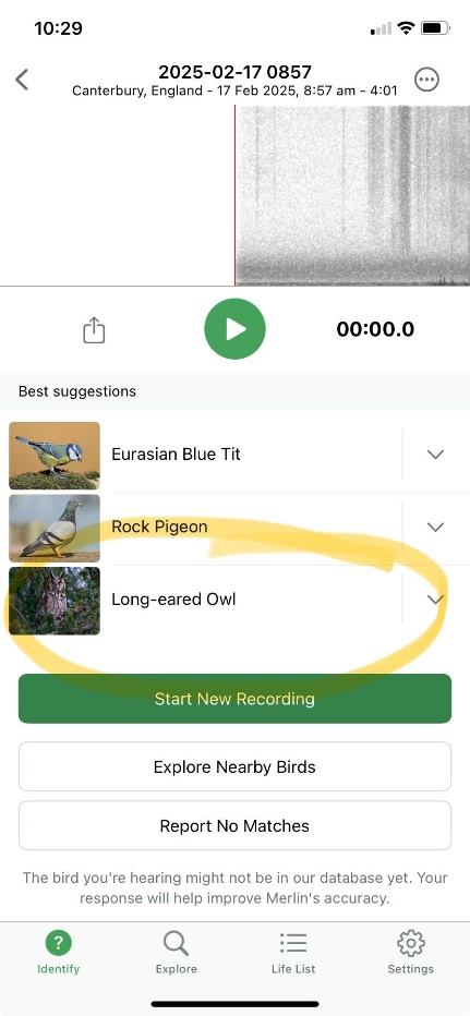 screenshot-of-Merlin-app-recording-of-a-long-eared-Owl-heard-on-the-farm