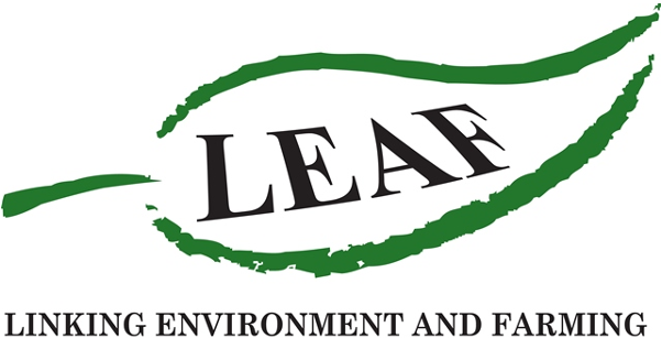 LEAF